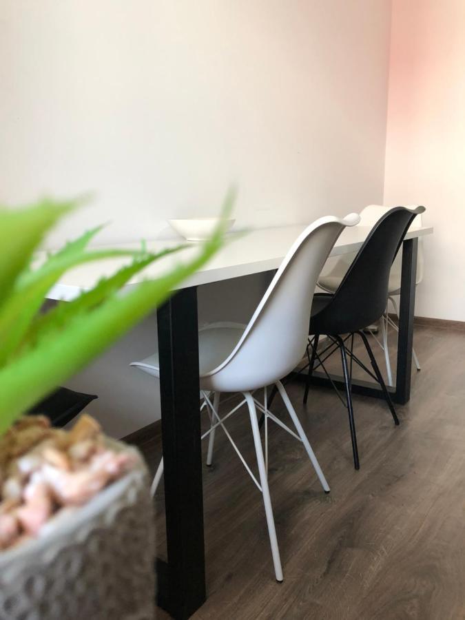 Max Apartament Daire Braşov Dış mekan fotoğraf
